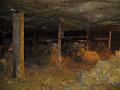 Mine 006